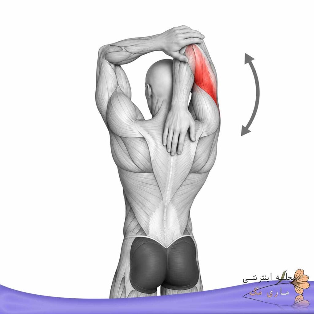 حرکت گهواره ای -ورزش تقویت شانه؛ ۵ تمرین ساده برای افزایش انعطافپذیری شانه